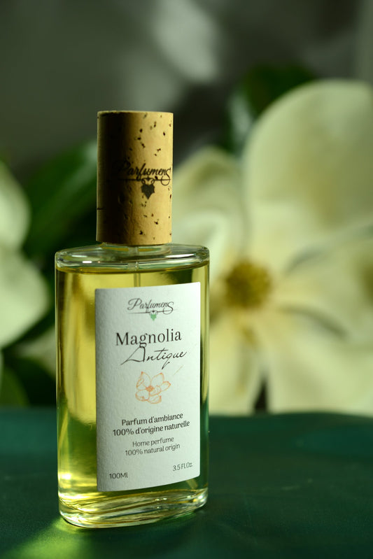 Flacon Magnolia Antique de Parfumens devant une fleur blanche