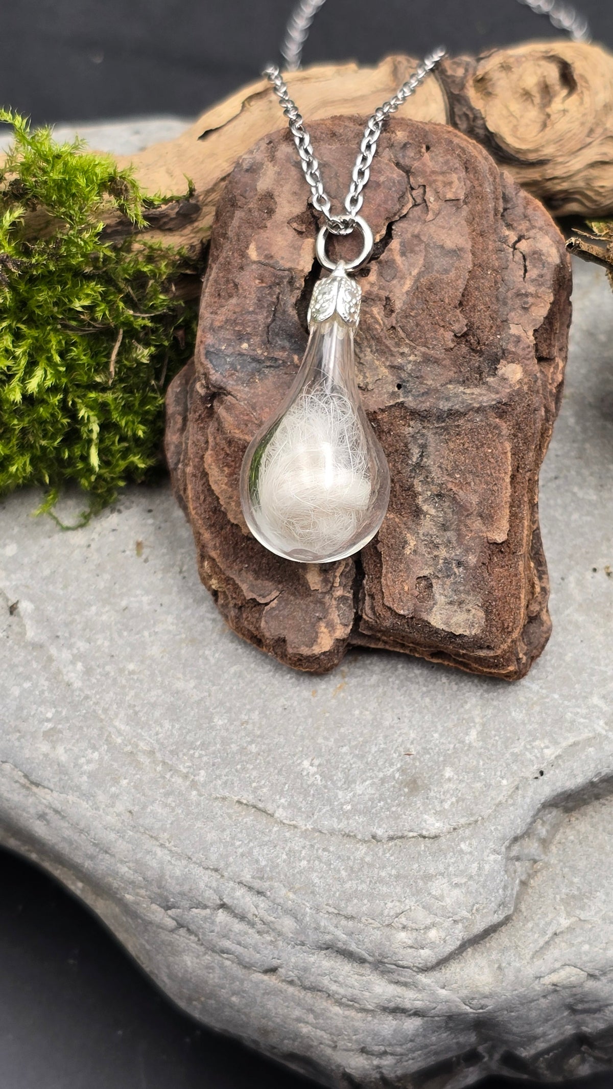 Bijou souvenir en verre renfermant des poils de chat, posé sur de l'écorce et de la mousse